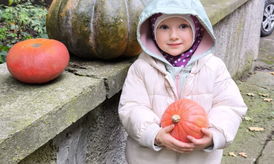 a small girl holding a pumpkin