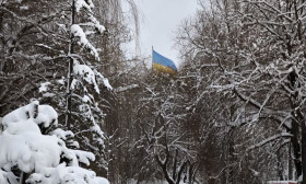 snowy scene